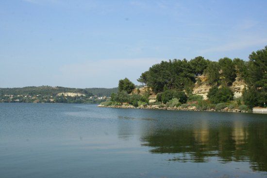 Art Zoo Istres