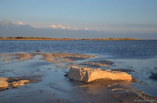 Plage de Piemanson