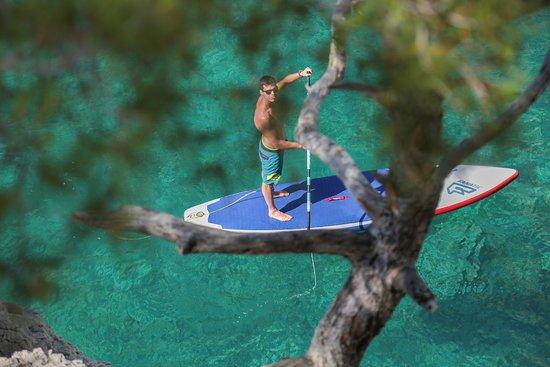 H2O Paddle