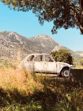 Deuch'in Alpilles