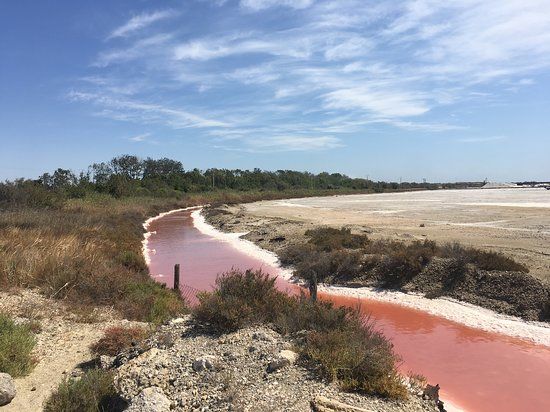 le monticule d'observation de Salt Pan
